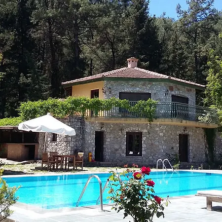 Hotel Neroli Butik 3*