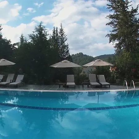 Neroli Butik 3* Turunç