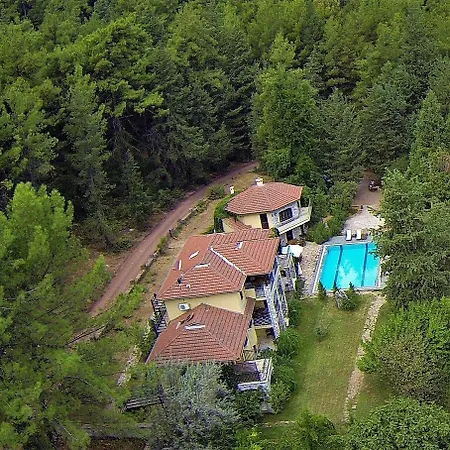 Hotel Neroli Butik 3*