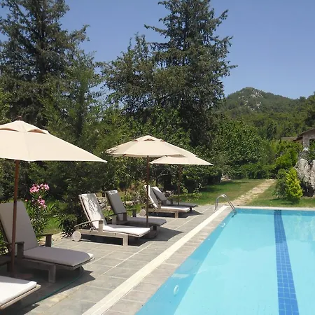Hotel Neroli Butik 3*