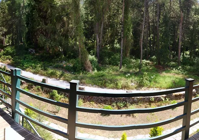 호텔 Neroli Butik 3*