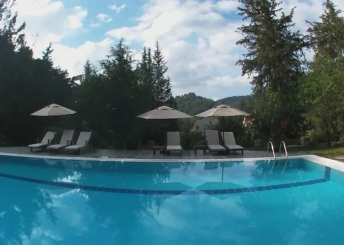 Neroli Butik 3* 투룬치